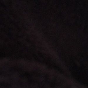 Meet your Posher, Molly